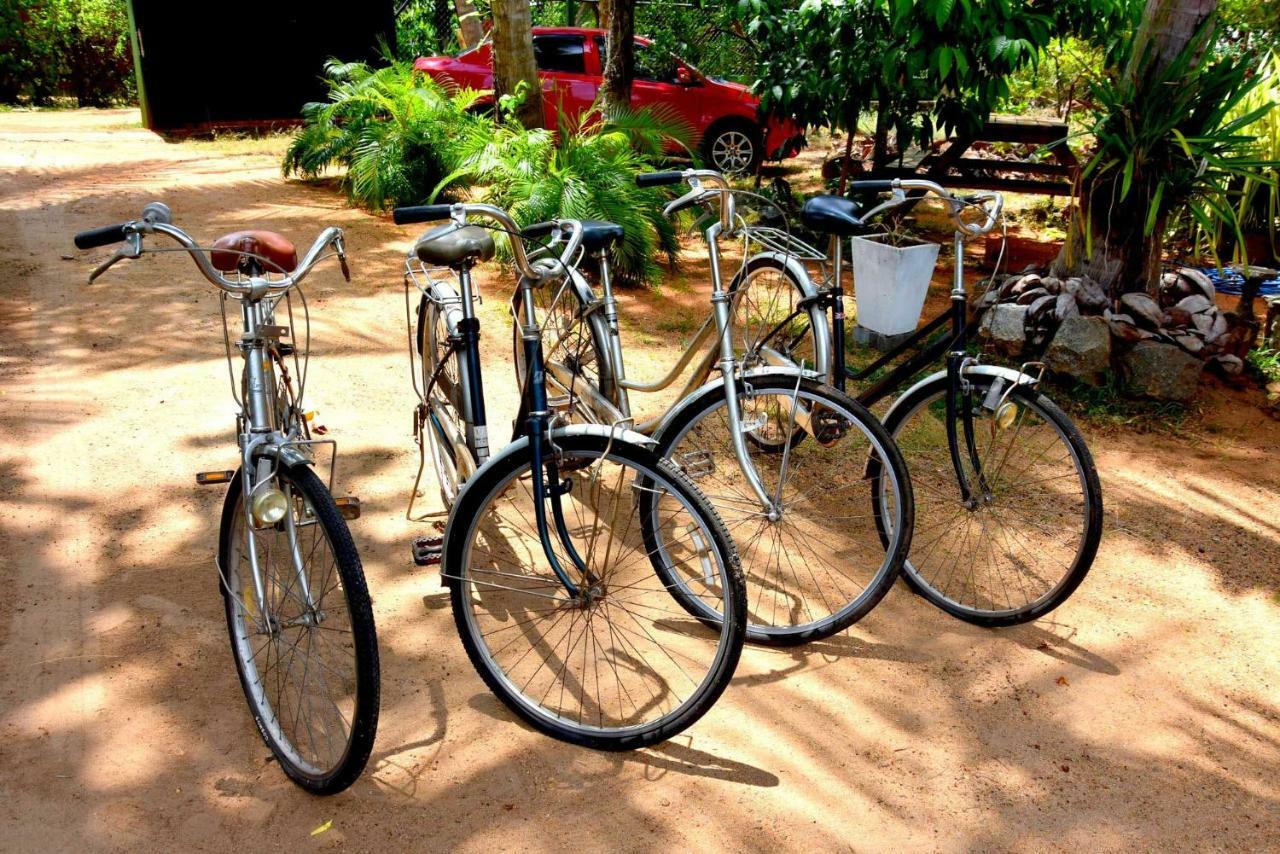 S P City Resort Anurâdhapura Extérieur photo